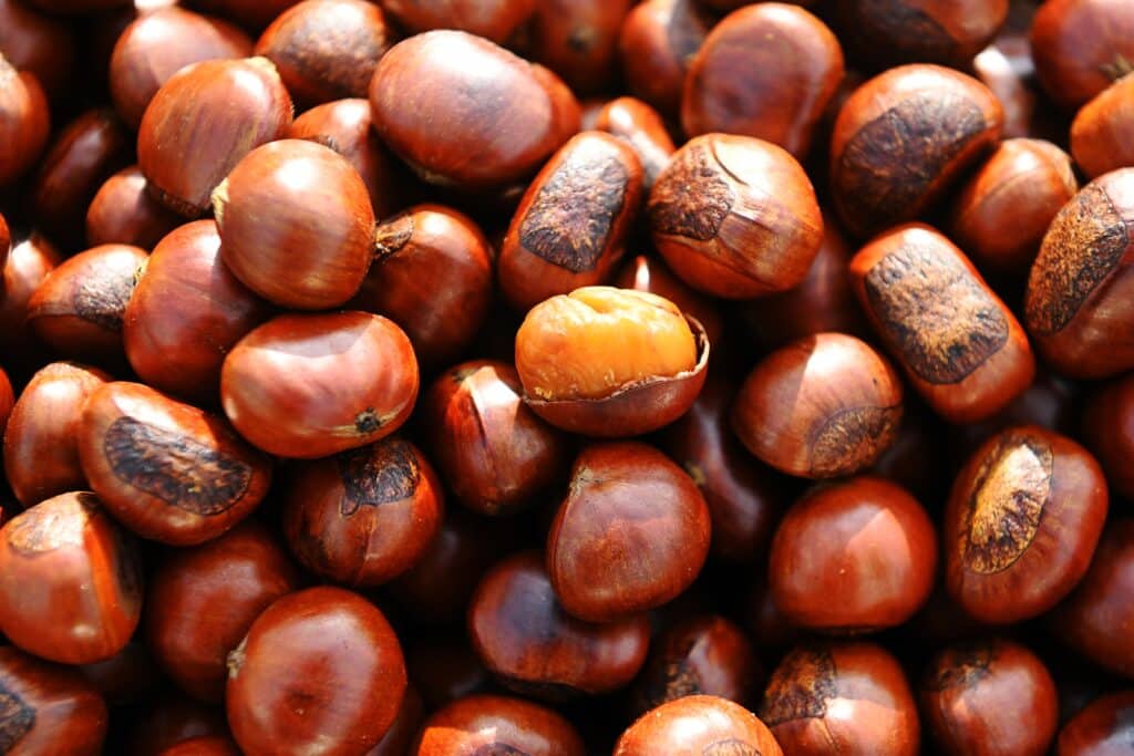 Dopo l&rsquo;incendio di Airola sono in corso controlli sulle castagne di Cervinara per verificare eventuali sostanze inquinanti.