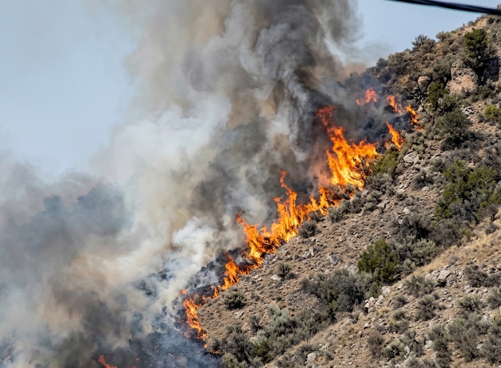 Incendio sul Monte Taburno tra Bonea e Bucciano: fiamme nella vegetazione, forte vento e fumo visibile a chilometri.