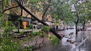 Maltempo a Napoli, albero crollato in via Guantai Nuovi davanti all’Inps. Allagamenti a Fuorigrotta e Bagnoli, disagi vari.