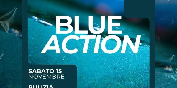 0b83b3d5-76cc-4ed9-98c0-e763d5043116