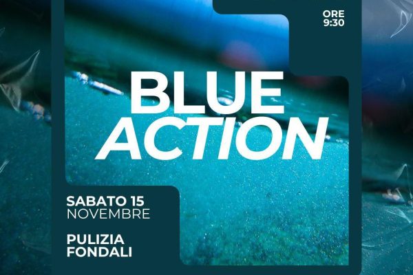 0b83b3d5-76cc-4ed9-98c0-e763d5043116