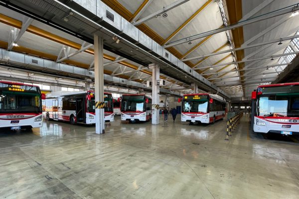ANM-BUS-IBRIDI