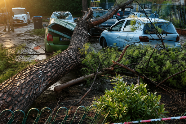Albero caduto ad Acerra