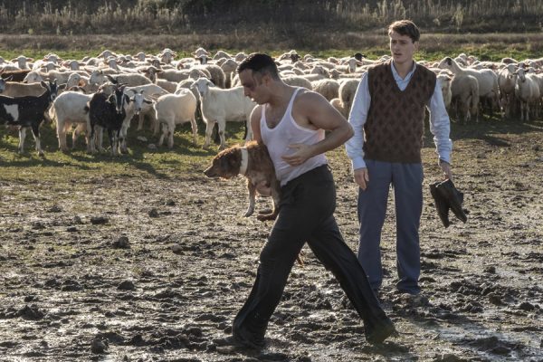 F-Di-Leva-A-Folletto