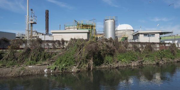 Fiume Sarno, Orfeo Mazzella, inquinamento, ambiente, Campania, scarichi abusivi