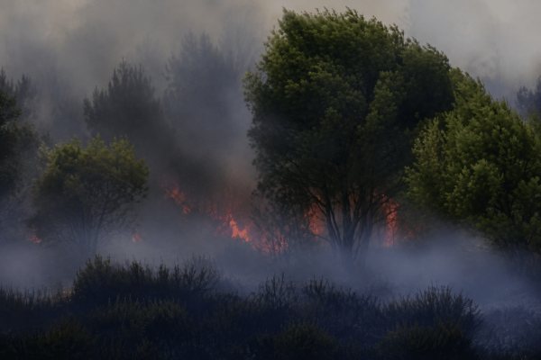 INCENDIO LICOLA.