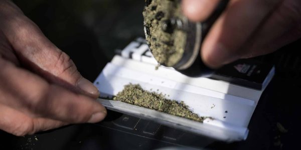 27 March 2024, Berlin: A man pours shredded marijuana into a joint. On 22 March 2024, the Federal Council cleared the way for the partial legalization of cannabis on 1 April. Photo: Sebastian Gollnow/dpa (Photo by Sebastian Gollnow/picture alliance via Getty Images)