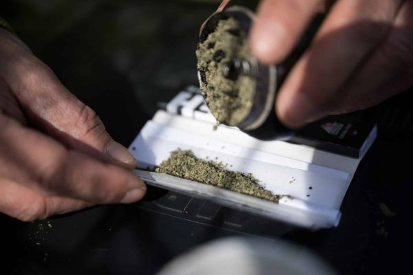 27 March 2024, Berlin: A man pours shredded marijuana into a joint. On 22 March 2024, the Federal Council cleared the way for the partial legalization of cannabis on 1 April. Photo: Sebastian Gollnow/dpa (Photo by Sebastian Gollnow/picture alliance via Getty Images)