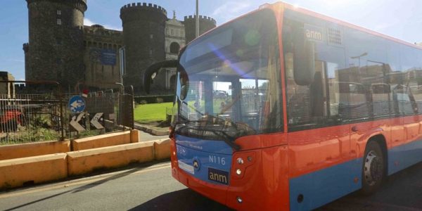 anm-bus