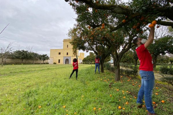 arance-capodimonte-emergenc