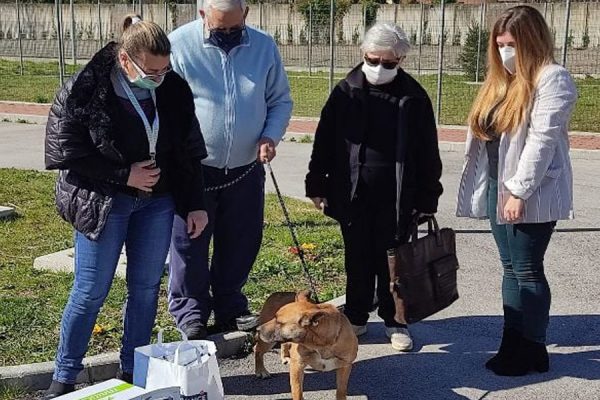 cane-adottato