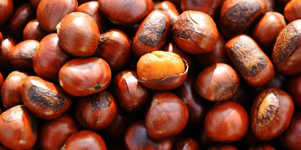 Dopo l’incendio di Airola sono in corso controlli sulle castagne di Cervinara per verificare eventuali sostanze inquinanti.