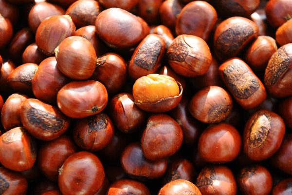 Dopo l&rsquo;incendio di Airola sono in corso controlli sulle castagne di Cervinara per verificare eventuali sostanze inquinanti.
