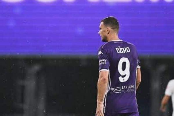 dzeko-09.JPG