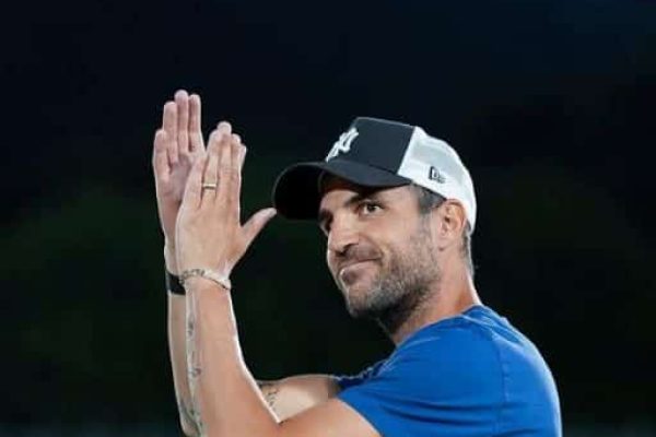 fabregas344.JPG
