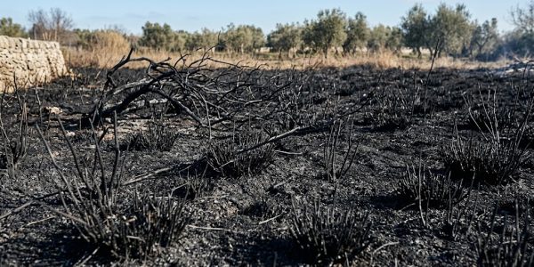 Grave incidente a Colliano: un 42enne è rimasto ustionato mentre bruciava sterpaglie. Trasferito in eliambulanza al Cardarelli.