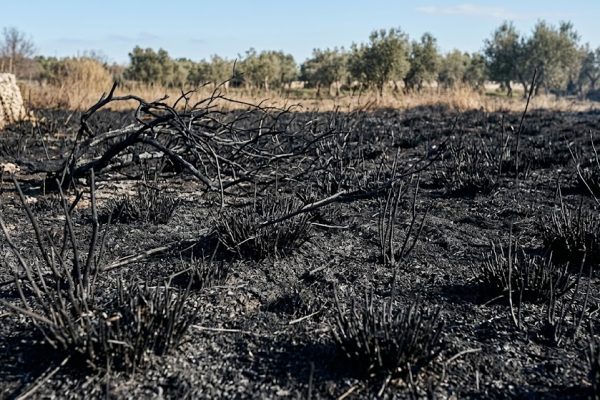 Grave incidente a Colliano: un 42enne è rimasto ustionato mentre bruciava sterpaglie. Trasferito in eliambulanza al Cardarelli.