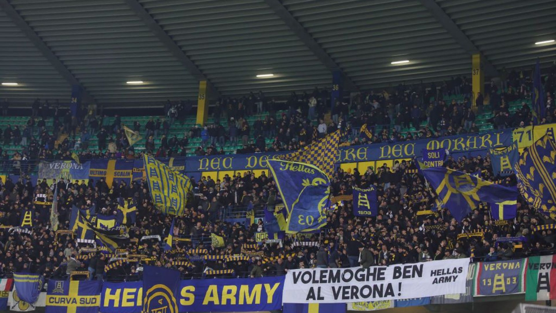 hellasverona12.jpg