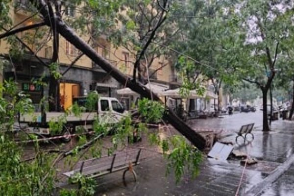 Maltempo a Napoli, albero crollato in via Guantai Nuovi davanti all’Inps. Allagamenti a Fuorigrotta e Bagnoli, disagi vari.