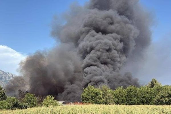 Diossine dopo l’incendio di Airola: non conformi due campioni di mais a Bonea e di erba a Forchia. Proseguono i controlli.