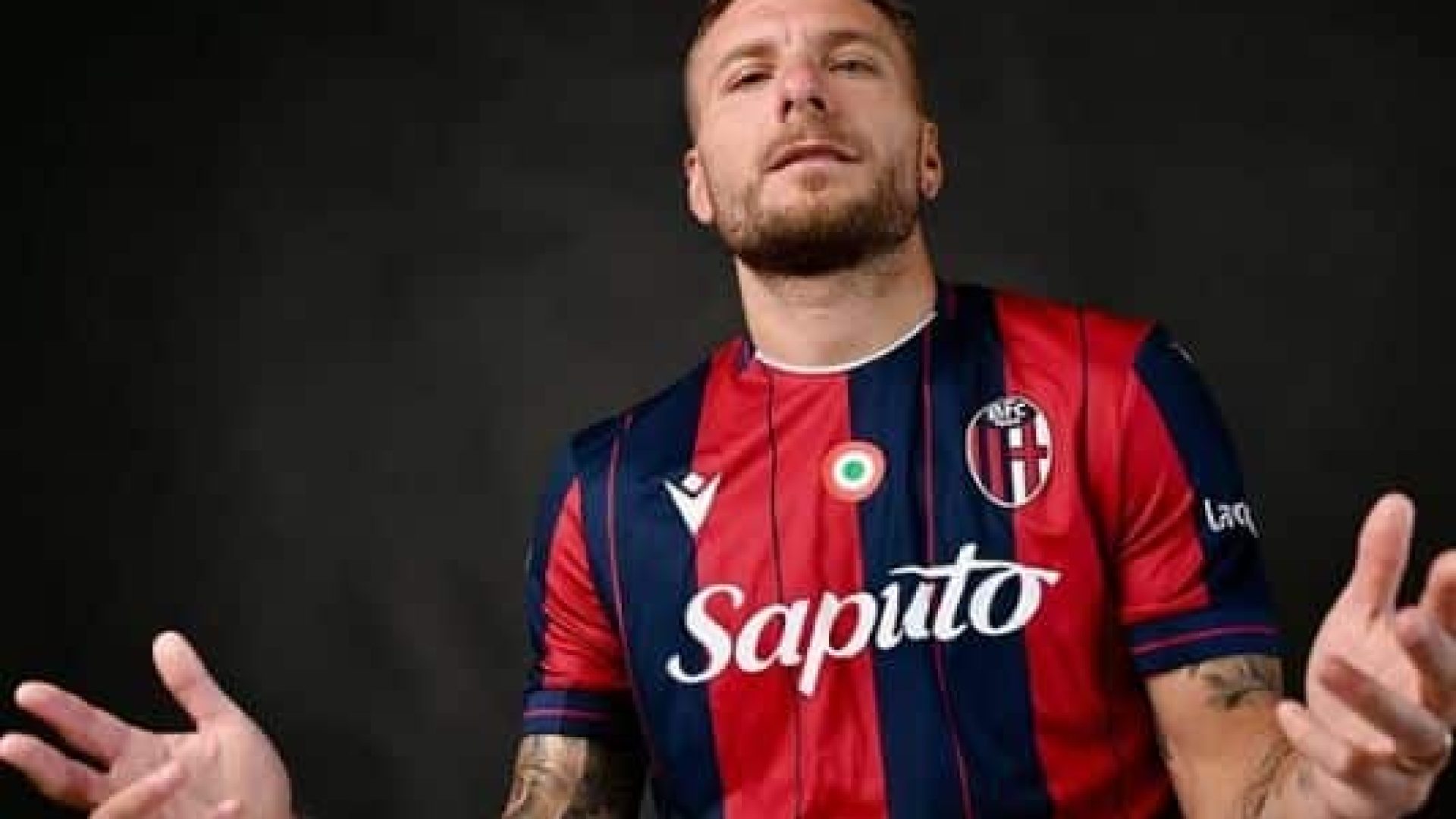 immobile23.JPG