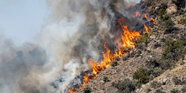 Incendio sul Monte Taburno tra Bonea e Bucciano: fiamme nella vegetazione, forte vento e fumo visibile a chilometri.