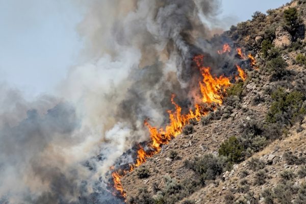 Incendio sul Monte Taburno tra Bonea e Bucciano: fiamme nella vegetazione, forte vento e fumo visibile a chilometri.