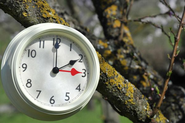 ora-legale-adnkronos