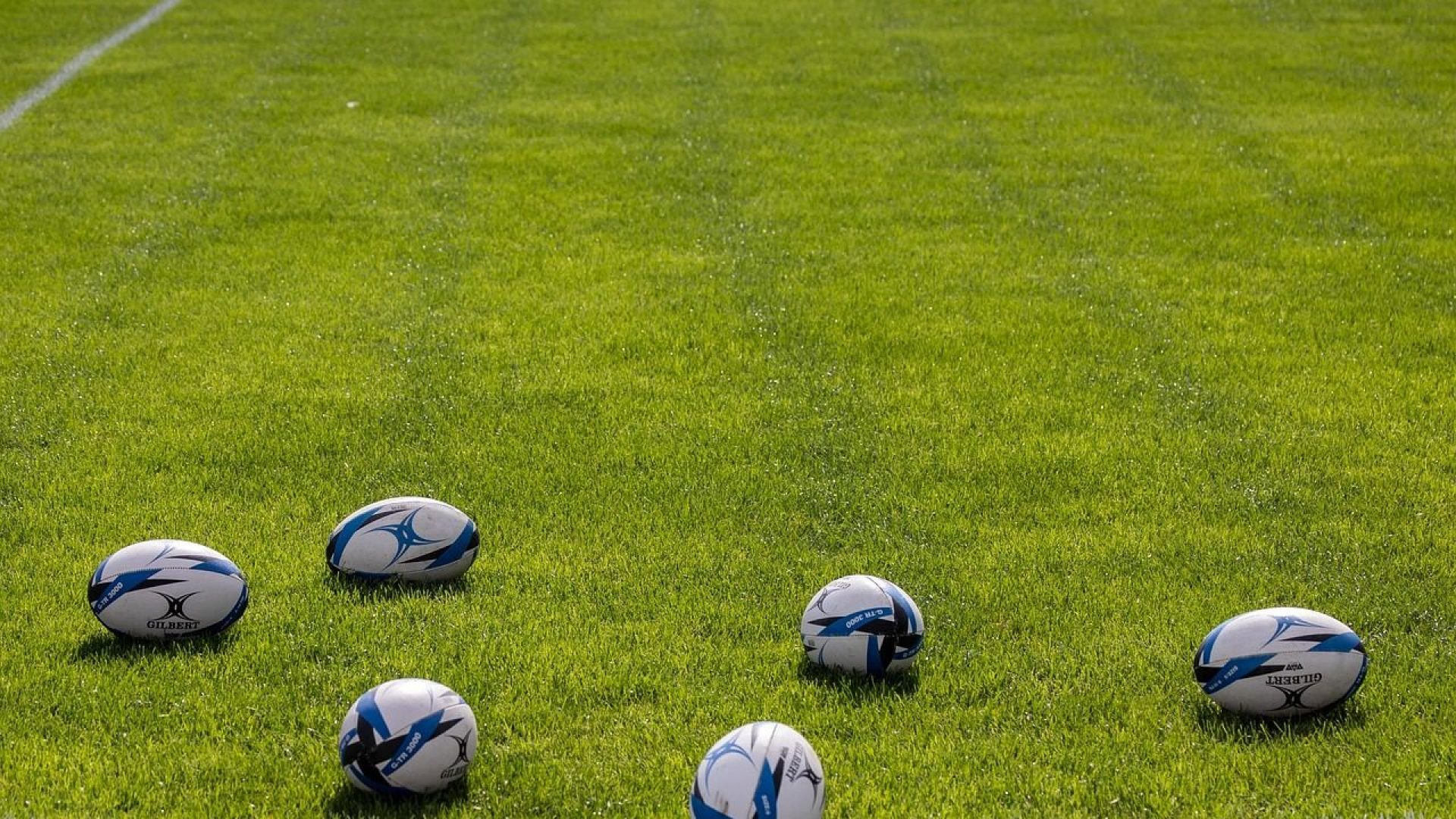 rugby-balls-6740651_1280.jpg